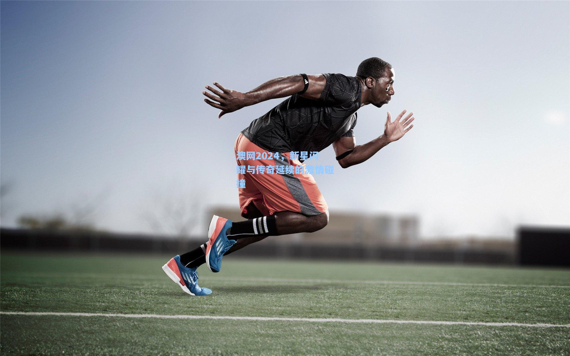 天天盈球下载：澳网2024，新星闪耀与传奇延续的激情碰撞