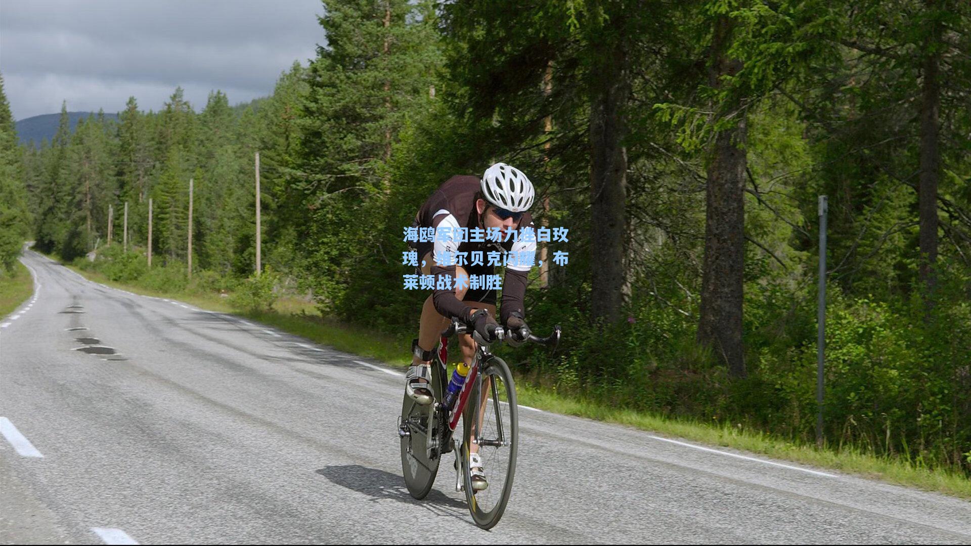 海鸥军团主场力挫白玫瑰，维尔贝克闪耀，布莱顿战术制胜