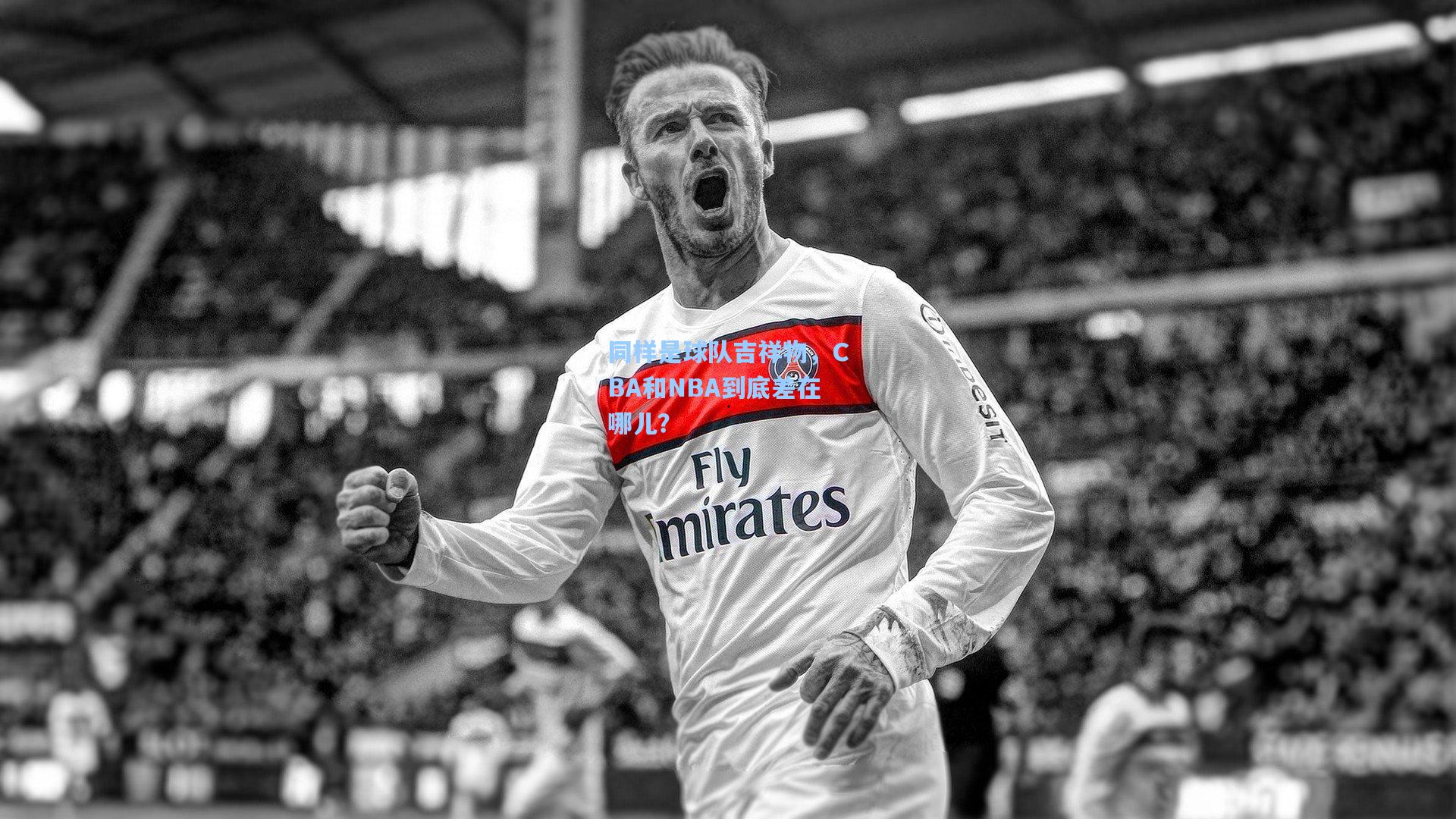 同样是球队吉祥物，CBA和NBA到底差在哪儿？